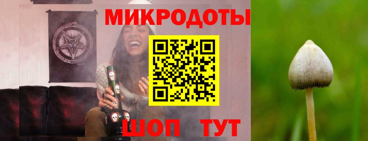Псилоцибиновые грибы мухоморы Малгобек